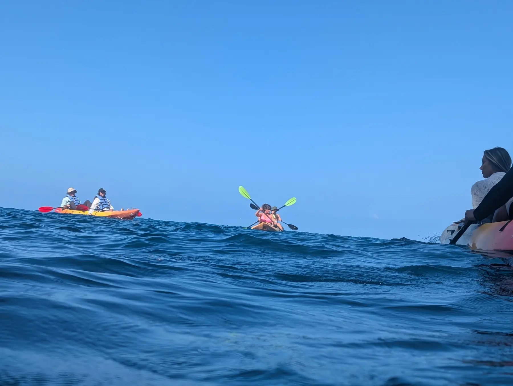 A small group kayaking together near Keauhou Bay