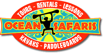 Ocean Safaris Kayak Adventures